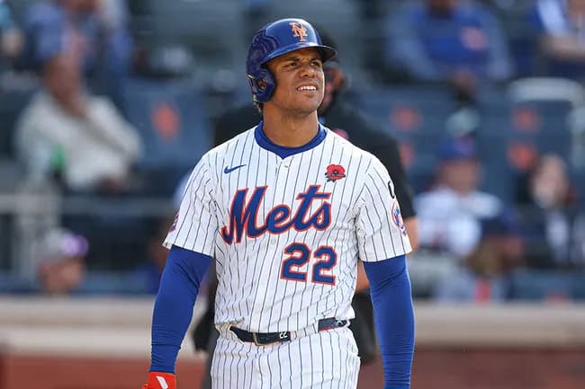 1200億の男フアン・ソト死刑囚.224 併殺打10（ナ・リーグ1位）守備劣化