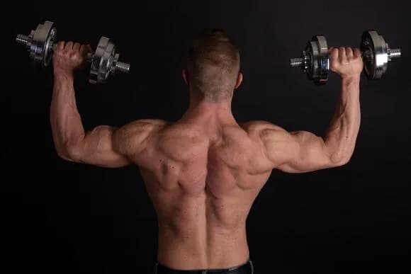 【悲報】 最近の筋トレ界隈、定説が変わりすぎる・・・