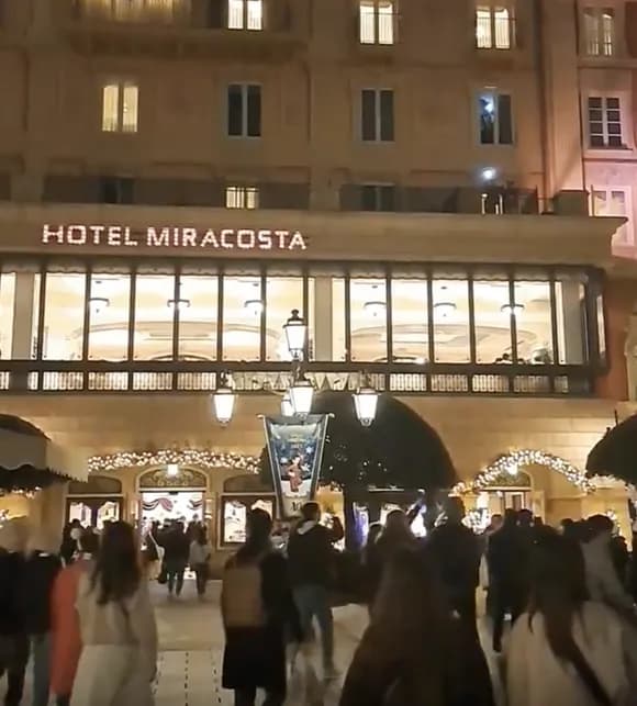 【動画】ディズニーファン「ホテルから手を振るのマウントされてるみたいでウザいんですけど・・・」