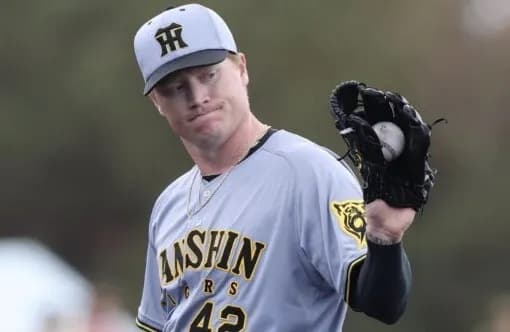 ネルソン『防御率2.45』←ええやん『WHIP1.91』←アカンわ...