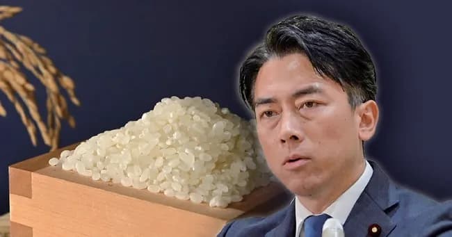 元農相「ルールを覚えろ！」進次郎「これがルールだ！！」ドヤァ