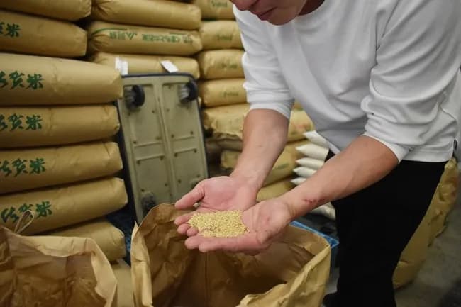 【悲報】米農家「正直5kg2000円台じゃ米作るモチベを保てません…」