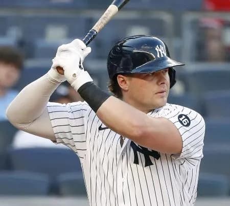 楽天、20年メジャー本塁打王のボイト獲得へ