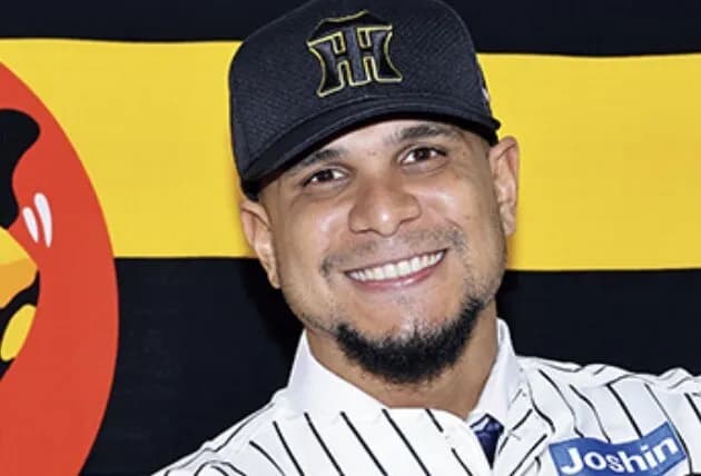 【悲報】6番ヘルナンデス 打率.179 HR0 打点0