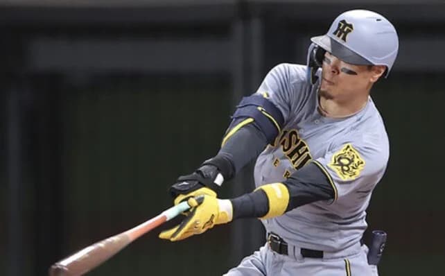 佐藤輝明　53試合 .288 15HR 40打点 ←これ