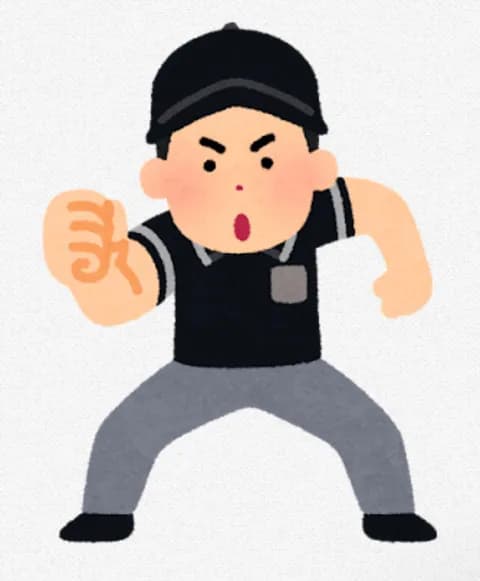 元審判、リクエスト制度に「最大の問題点は『NPBは本当に金が無い』こと。現状設備揃えるのは無理