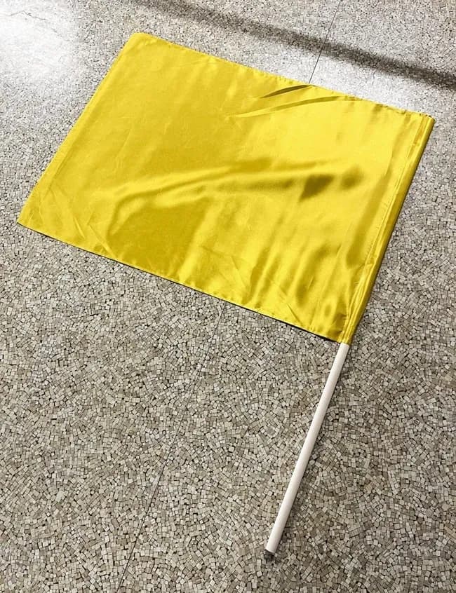 【悲報】小6男子、運動会練習中に旗が睾丸に刺さり緊急手術