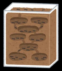 水槽の中に土入れてアリ放り込んで観察したい