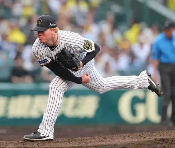 【阪神】ネルソンが来日初の３者凡退「だいたいは自分の思い通りに」４試合連続無失点