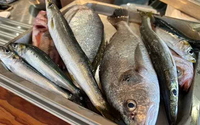 【悲報】農水省悲鳴「助けて！魚を食べる国民が激減してるの！なんで魚食べてくれないの？！」