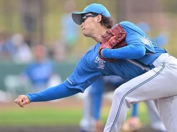 息子を左投げのアンダースローのナックルボーラーに育てようと思う