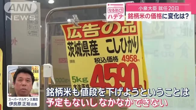 【朗報】銘柄米、5%割引に！5キロ税込4956円まで値下がり！