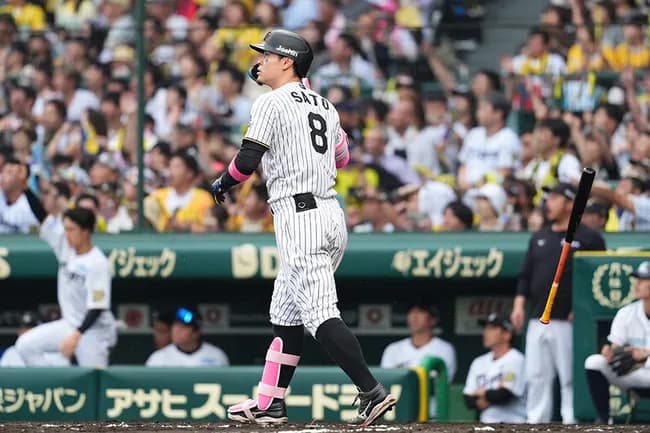 【朗報】佐藤輝明さん(神)、完全に覚醒。メジャー移籍待ったなしへ