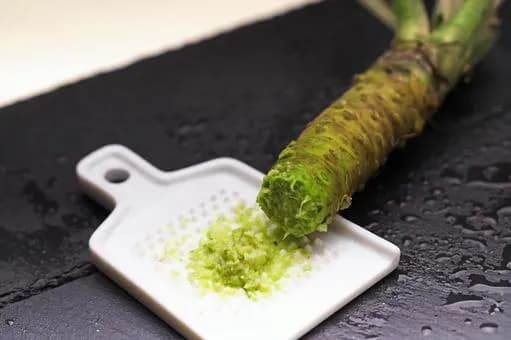 【朗報】「ワサビ」に一番合う料理、なんだかんだでこれに落ち着くｗｗｗｗｗｗｗｗｗｗｗｗｗｗｗｗ