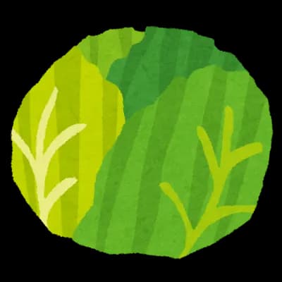 【悲報】キャベツの価格、すごい勢いで下がってしまう