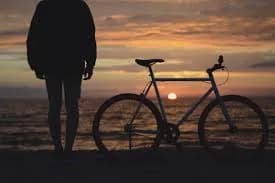 【画像】ルールを守った自転車、バスから嫌がらせを受けるｗｗｗｗｗｗｗｗｗｗｗｗｗｗｗｗ