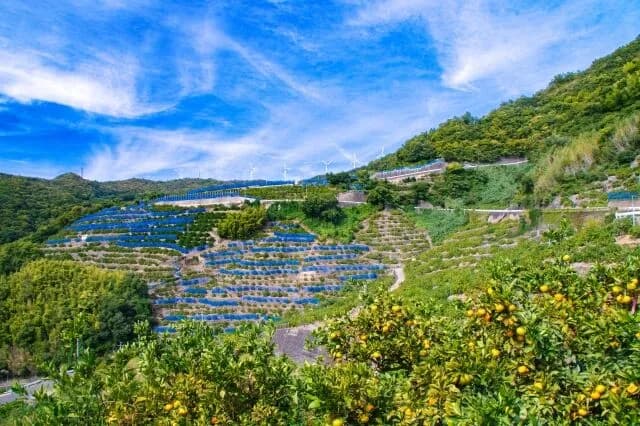 和歌山県←なに思い浮かべた？