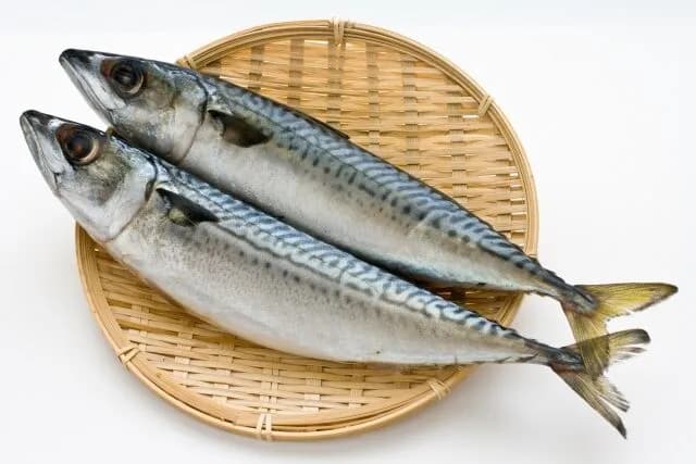 鯖（煮てよし焼いてよし、刺身もよし）←こいつの弱点