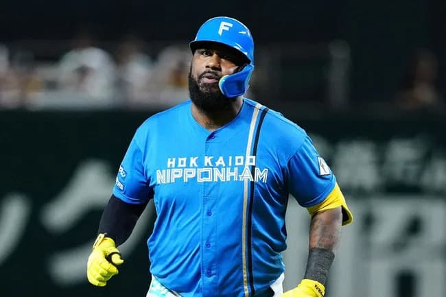 フランミル・レイエス（日）打率.279（5位）14本塁打（1位）40打点（1位）OPS.862（2位）