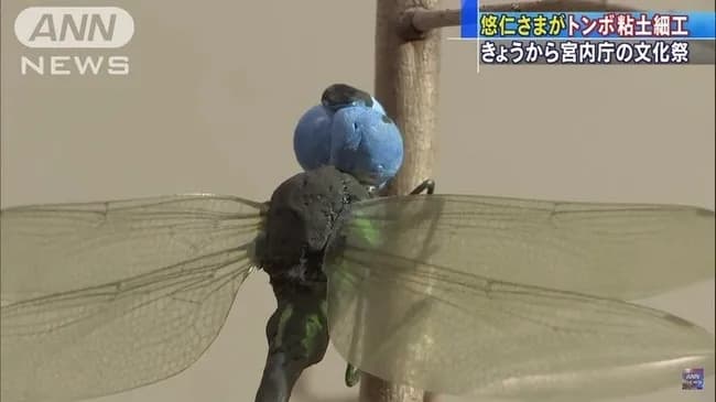 【画像】悠仁さまのトンボのクオリティｗｗｗｗｗｗｗ