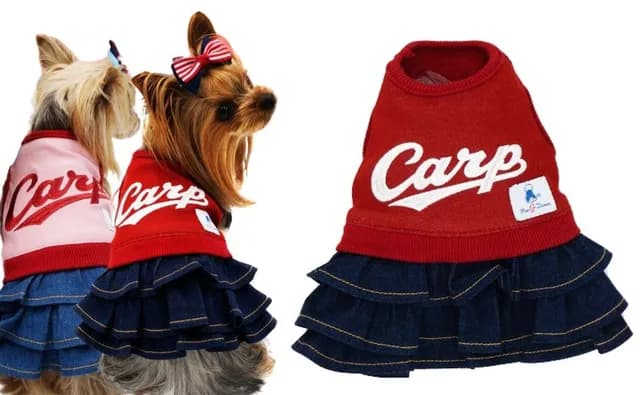 カープ選手のペット事情！大瀬良＆床田はグローブに愛犬の刺繡入り！【鯉戦士のペット自慢】