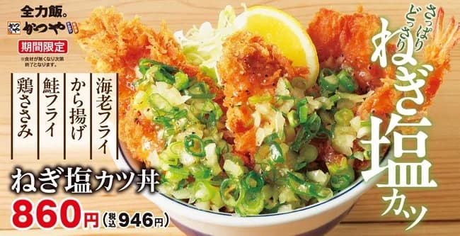 【悲報】かつや、めちゃくちゃさっぱりしてそうな丼を発売へ