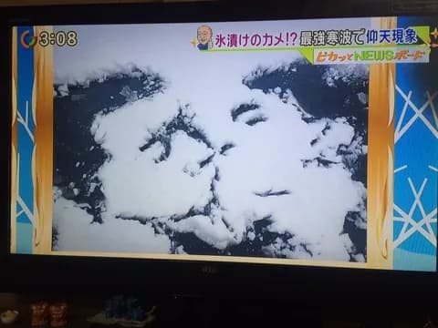 野獣先輩、光の陰影だった 	