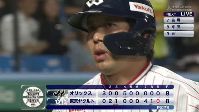 3年前 日本シリーズだったものの成れの果て