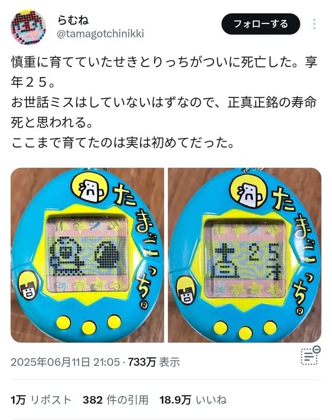 X民「たまごっちを大事に育てて25年、とうとう死にました」→24万いいね