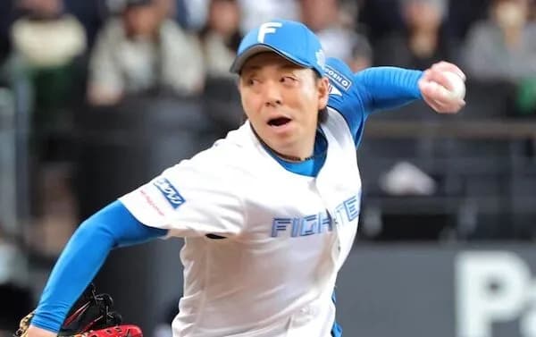 ハムって若いチームだけど宮西中島と投手と野手の生え抜きベテランが活躍してるのマジででかいな