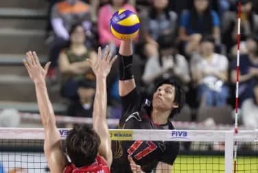 【疑問】Vリーグ(バレーボール)観客動員が圧倒的に『男子＞＞＞＞女子』。なんでやろ？ｗｗｗｗｗ