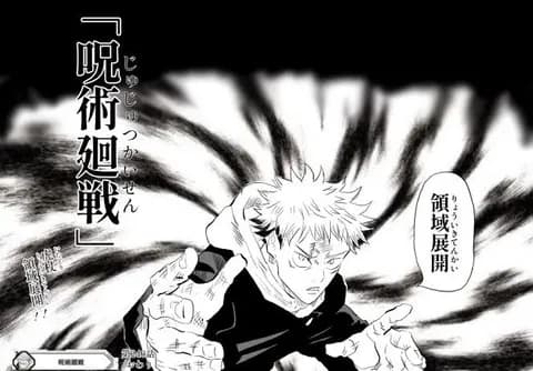 呪術廻戦読んでたんやけど虎杖の領域展開はどういう能力なんだよ