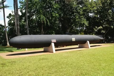 大日本帝国海軍「待てよ…魚雷に人間乗せたら必中なのでは？」←賢い