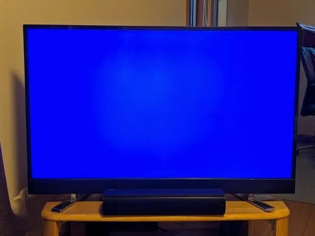 【悲報】テレビの視聴率ランキング、とんでもないことになるｗｗｗｗｗｗｗｗｗｗｗｗ