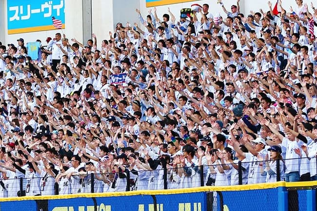 野球ファン「ロッテの応援はすごいぞ！」ワイ「はぇー交流戦楽しみやな」