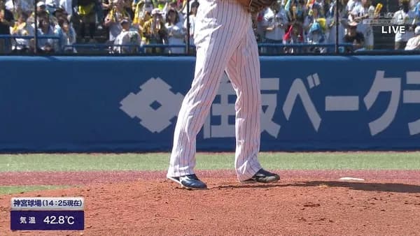 【悲報】神宮球場、ガチでヤバい