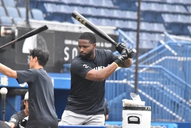 ロッテ・ポランコ、『右肩亜脱臼による炎症』大事をとって一軍登録抹消