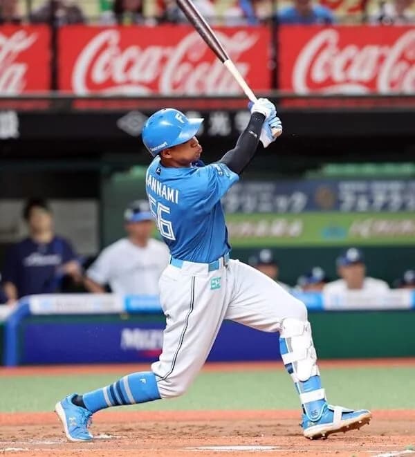 6月終了時点のNPBリーグ全体本塁打数ｗｗｗｗｗｗ