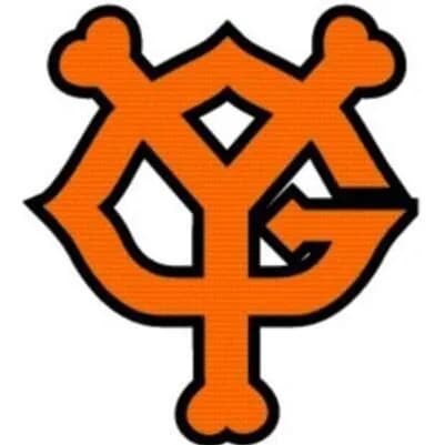 【データ分析×選手コメント】7/2 巨人×阪神戦・完封負けを検証！