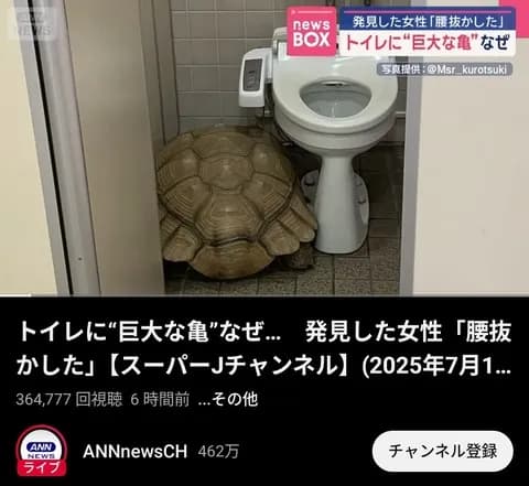 【悲報】トイレに巨大な亀　横浜