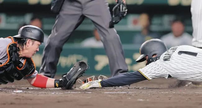 巨人阪神　日ハムソフバンの判定