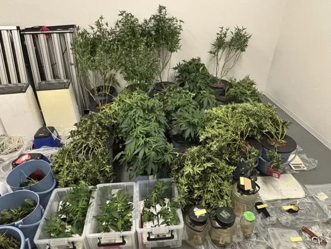 【朗報】「大麻のようなにおいがする」通報で二人組を逮捕