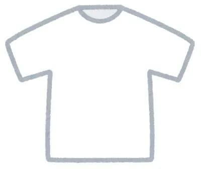 お前らが「これユニクロで良くね？」って思う物