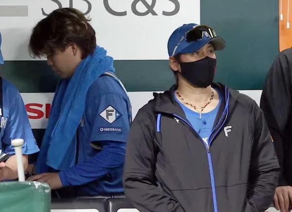 ハムがSBに三タテされた理由←これ