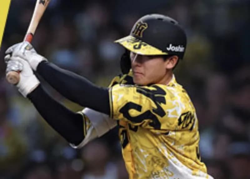 虎ファン、祝勝会【負けを挟んで12連勝！！！】