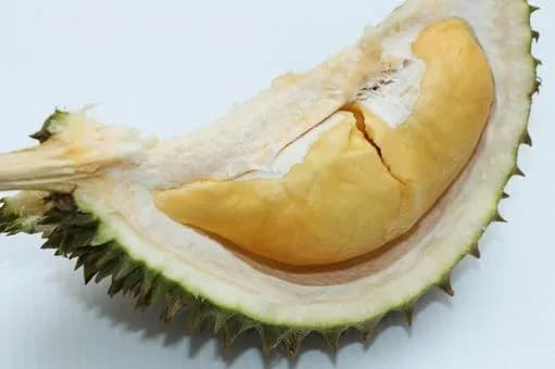 【悲報】「美味い果物ランキング」トップ10にギリ入らない果物ｗｗｗｗｗｗｗｗｗｗｗｗｗｗｗｗｗｗｗ