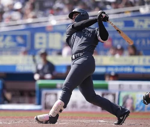 ロッテソト(36)  .210 8本 25打点 OPS.622