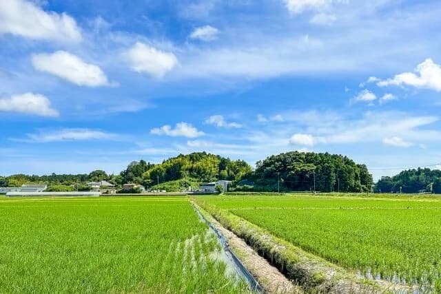 ”本物”の田舎に住んでる奴にしかわからないこと