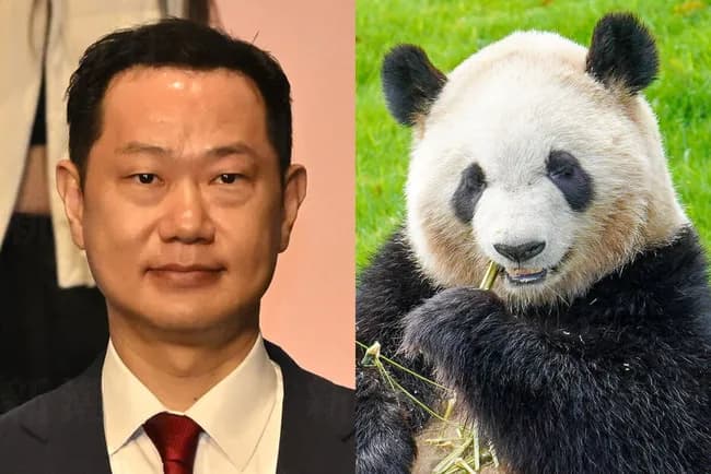 二階俊博の息子「中国からまたパンダ借りるからワイに投票してえええええ」
