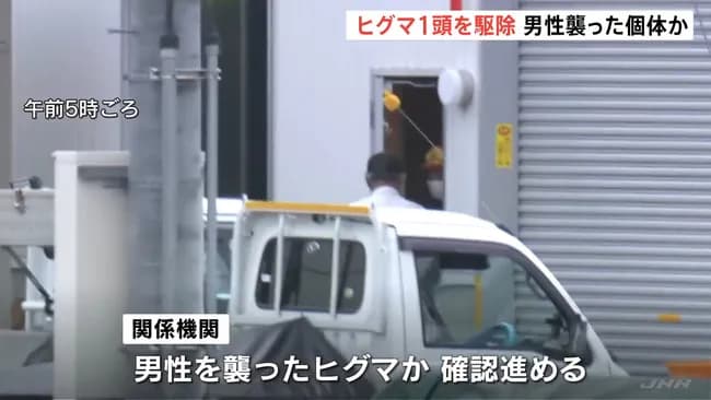 射殺された熊、熊違いで殺された可能性大...